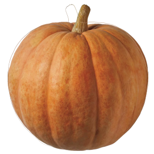 Pumpkin