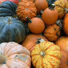 Contact Pumpkins on a Porch